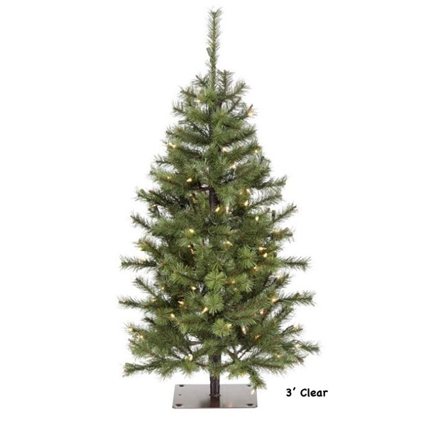 Asheville Alpine Christmas Tree