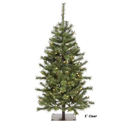 Asheville Alpine Christmas Tree