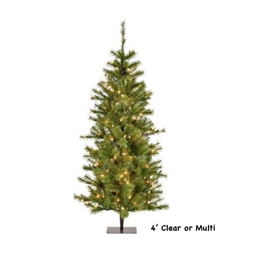 Asheville Alpine Christmas Tree