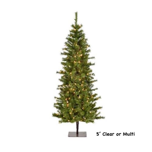 Asheville Alpine Christmas Tree
