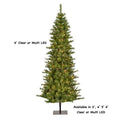 Asheville Alpine Christmas Tree