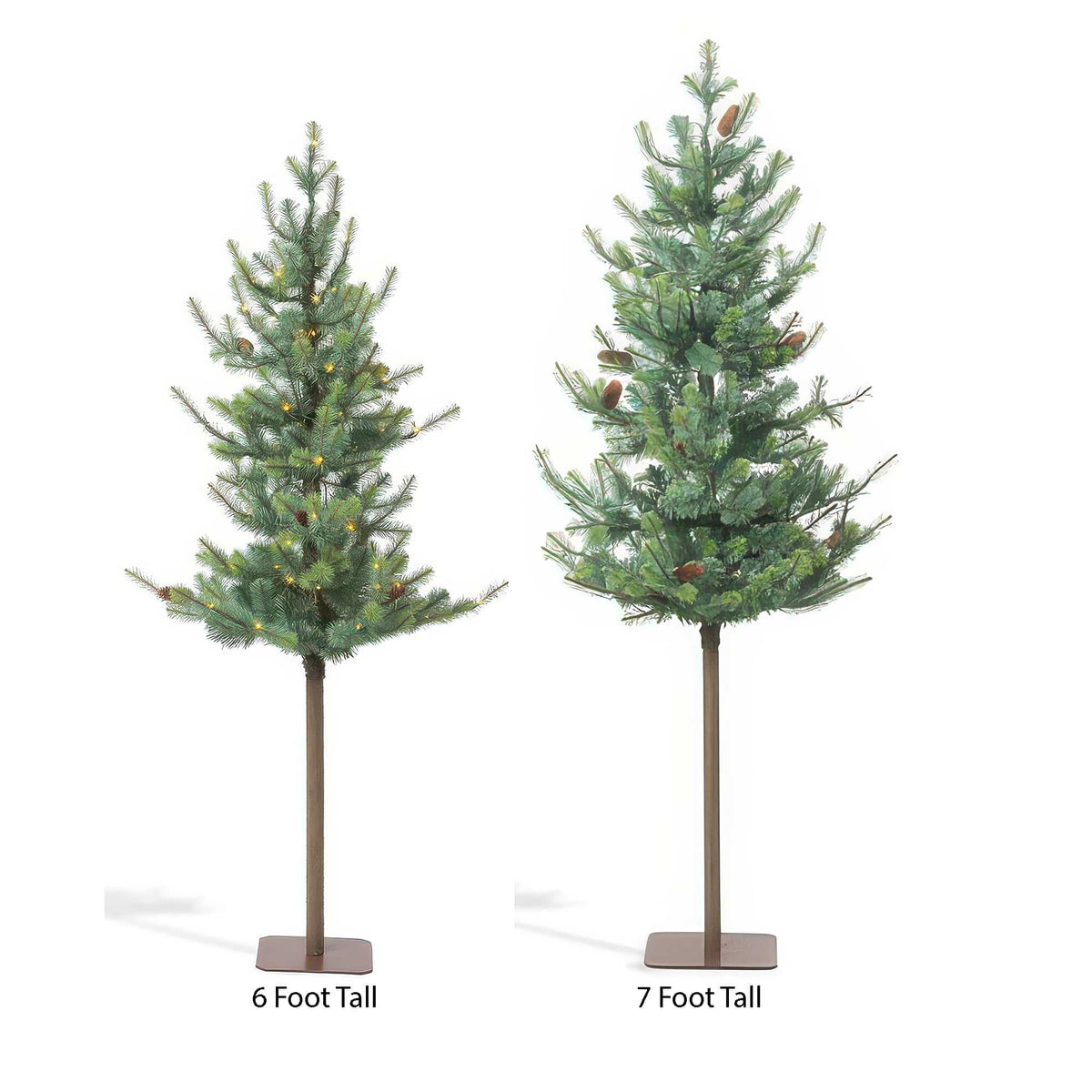 Blue Spruce Alpine Tree 6′ Or 7′