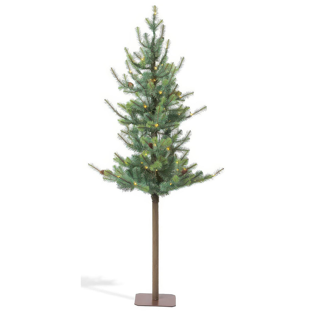 Blue Spruce Alpine Tree 6′ Or 7′