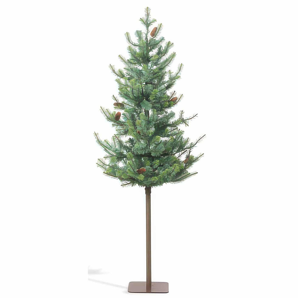 Blue Spruce Alpine Tree 6′ Or 7′