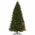 Carolina Fraser Fir Christmas Tree By St. Nicks SALE