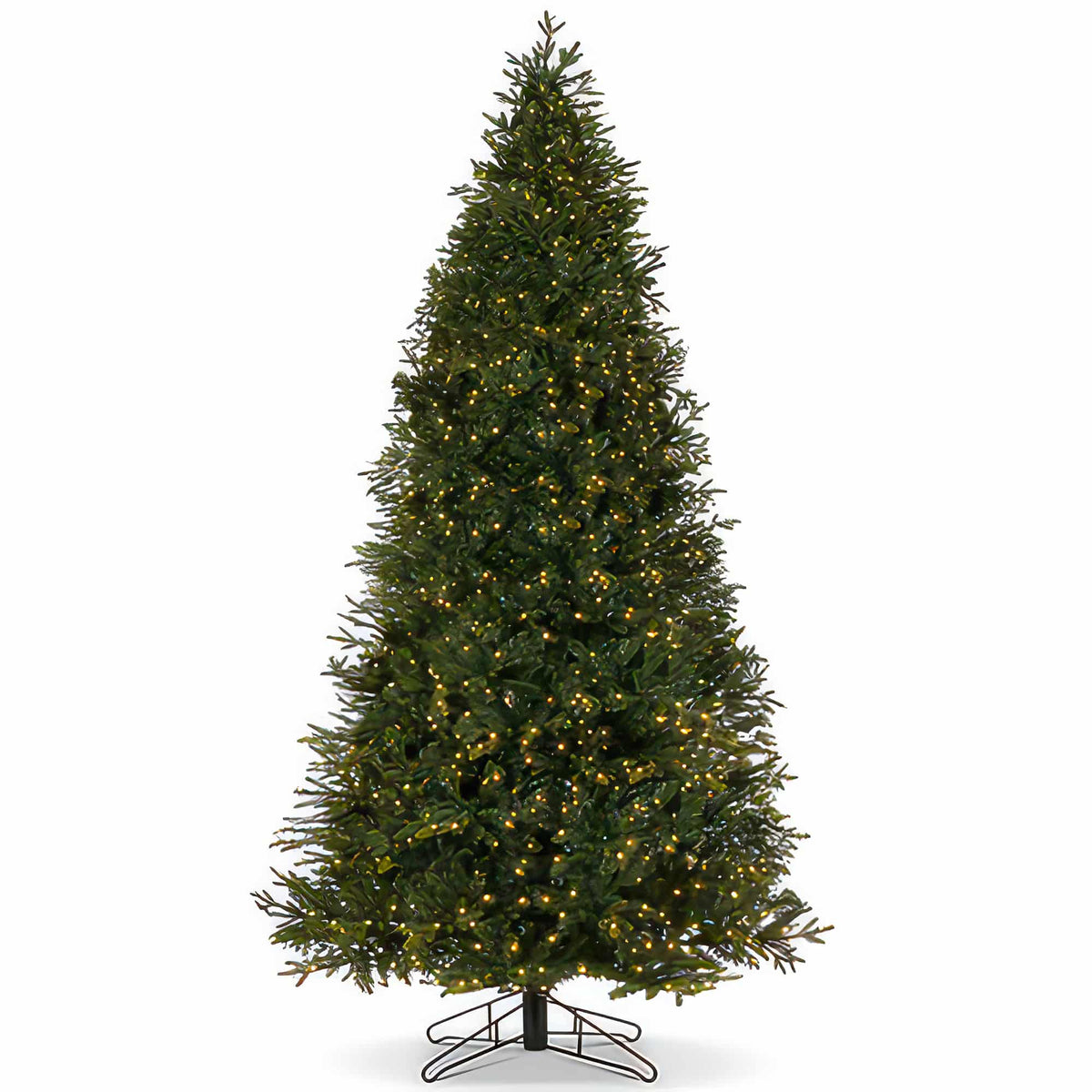 Carolina Fraser Fir Christmas Tree By St. Nicks SALE