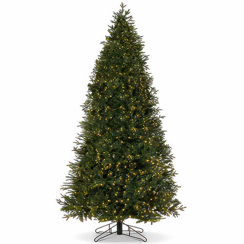 Carolina Fraser Fir Christmas Tree By St. Nicks SALE