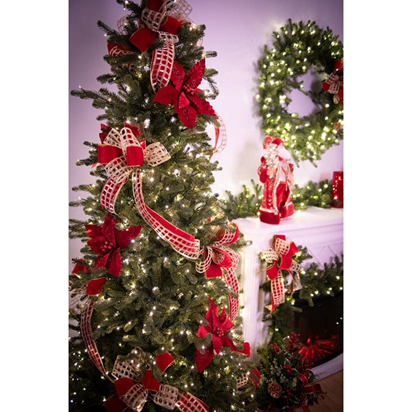 Carolina Fraser Fir Slender Christmas Tree St. Nicks SALE