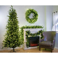 Carolina Fraser Fir Slender Christmas Tree St. Nicks SALE