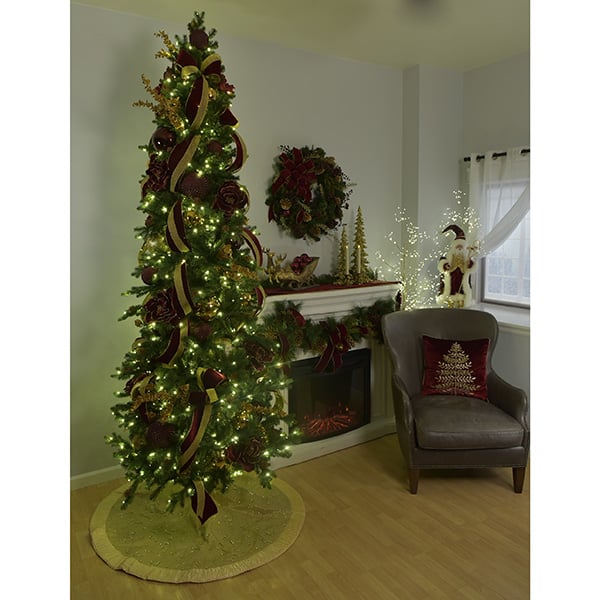 Slender Glenville Spruce Tree St. Nicks