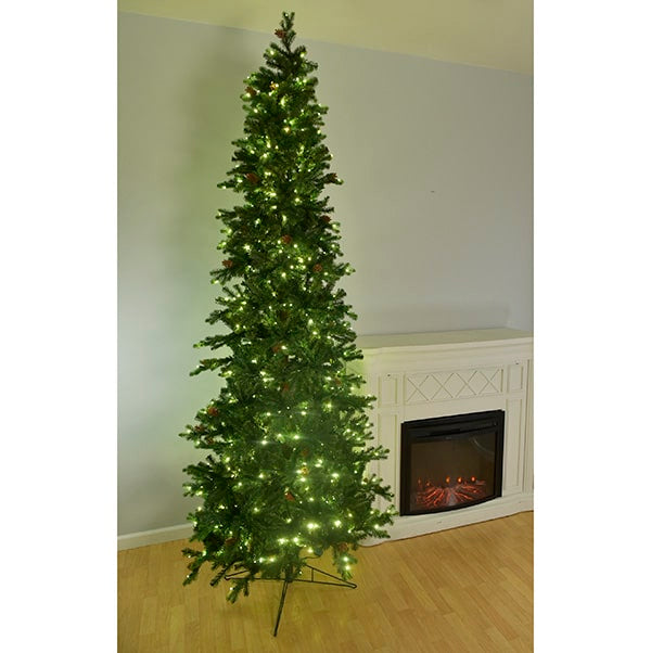 Slender Glenville Spruce Tree St. Nicks