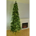 Slender Glenville Spruce Tree St. Nicks