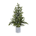Norway Spruce Natural Touch Potted Trees