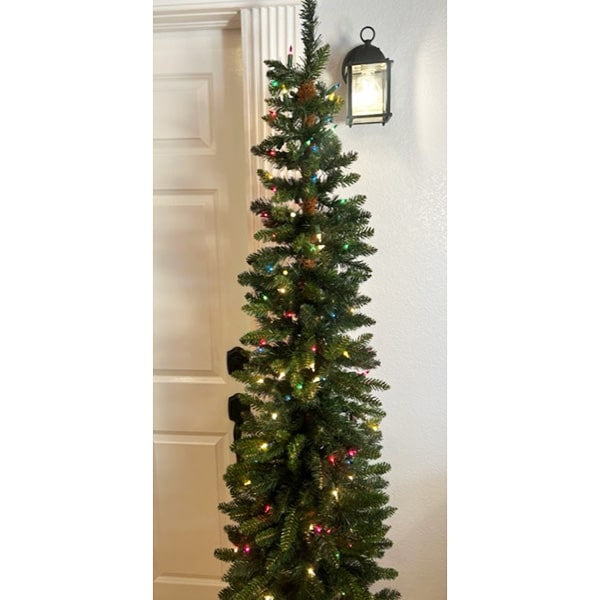 Ponderosa Pencil Tree St. Nicks