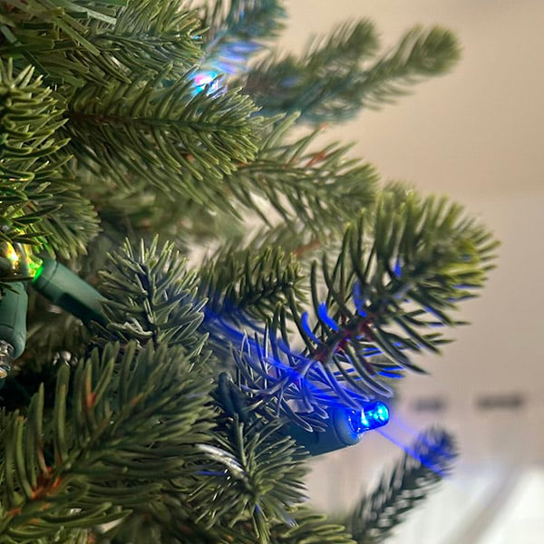 RGB Slender Carolina Fraser Fir Christmas Tree St. Nicks