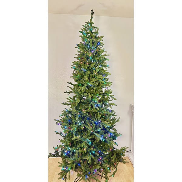 RGB Slender Carolina Fraser Fir Christmas Tree St. Nicks