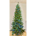 RGB Slender Carolina Fraser Fir Christmas Tree St. Nicks