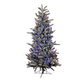 Slender Frosted Grand Spruce Sale!