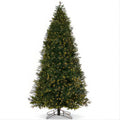Carolina Fraser Fir Twinkle Christmas Tree