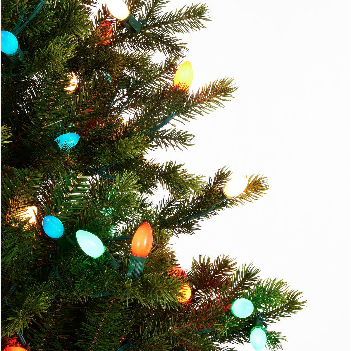 Fraser Fir With C7 Bulbs Christmas Tree