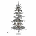 Frosted Forest Pine Tree Anniversary Special
