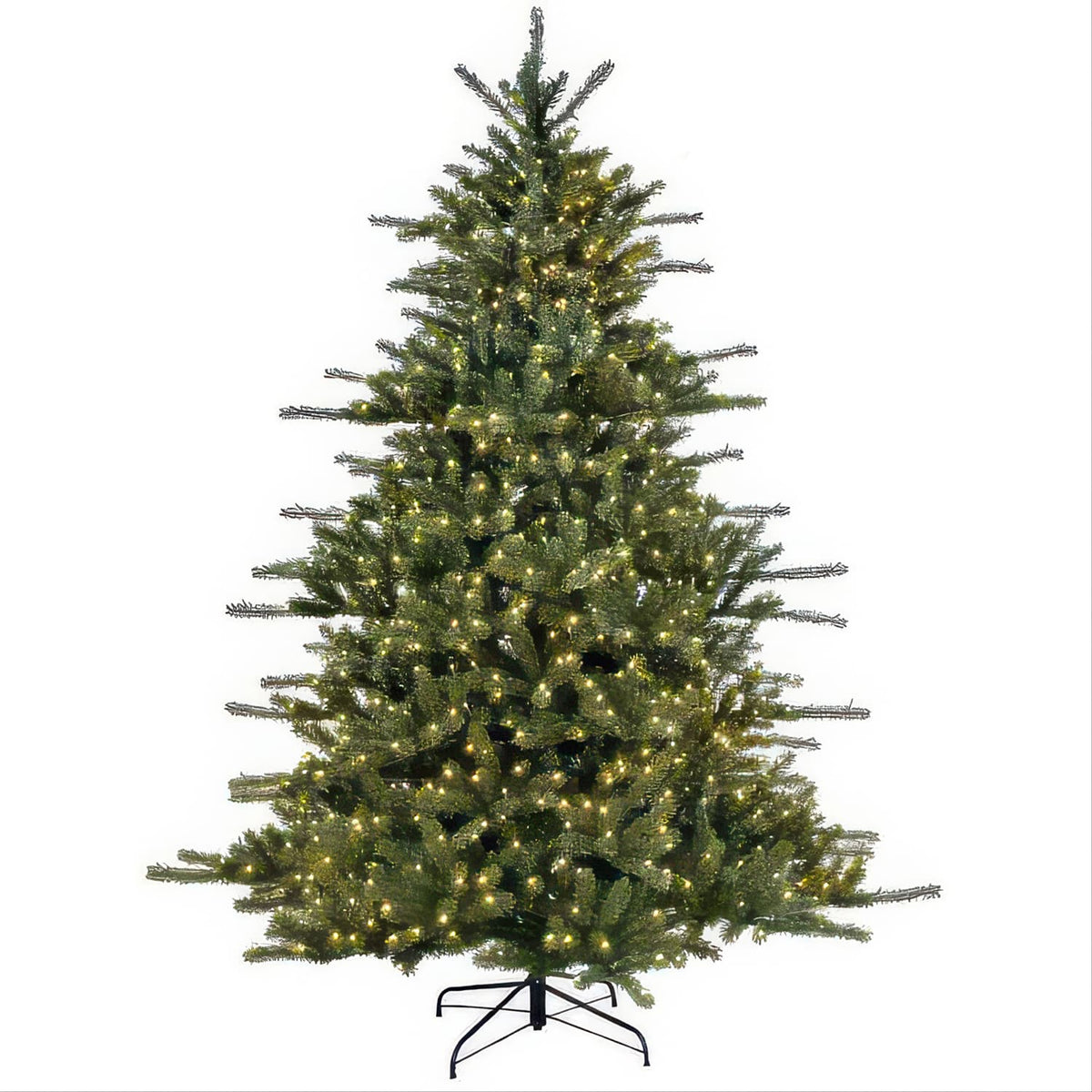 Grand Spruce Color Change Tree 14′