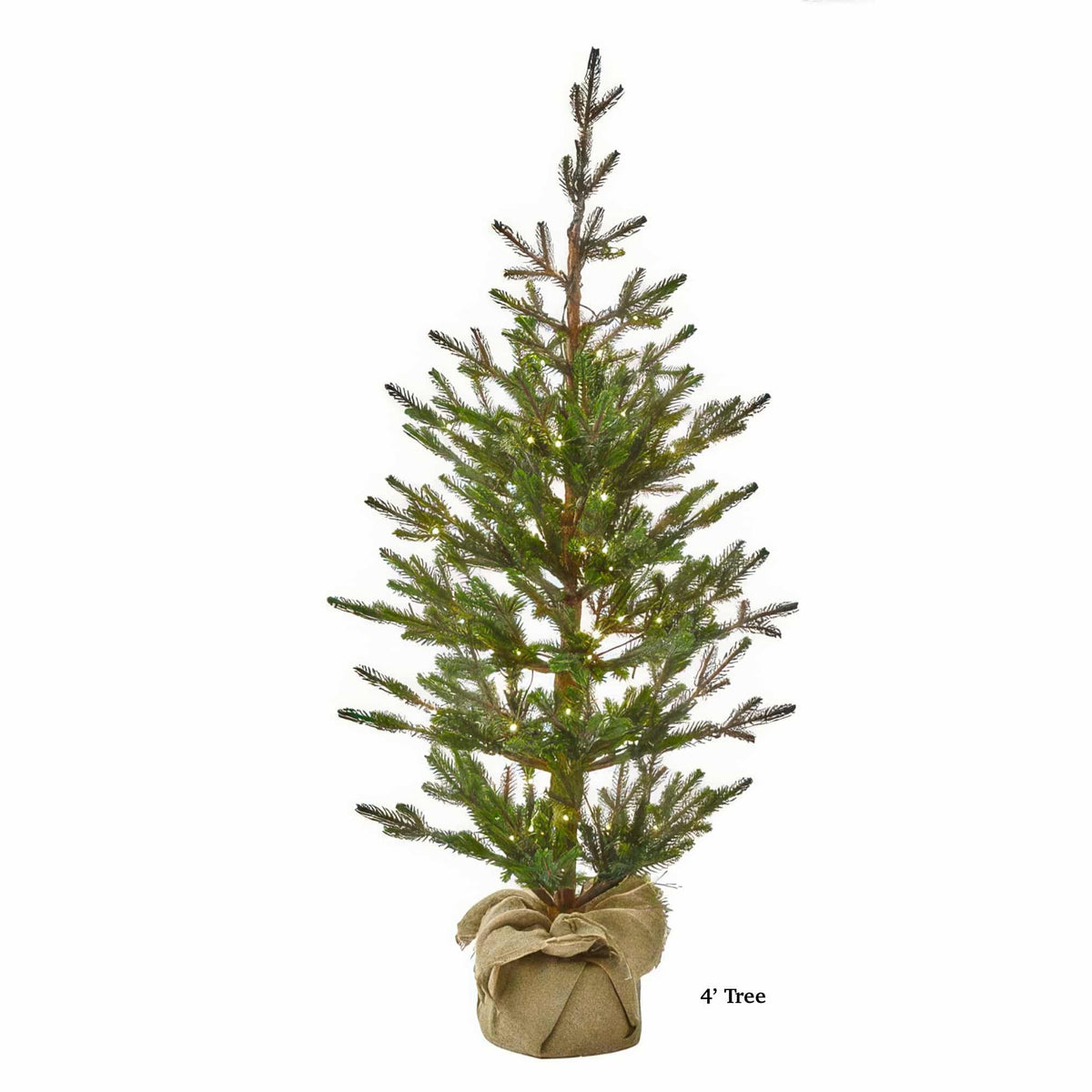 Sapling Spruce Tree Color Change Christmas Tree