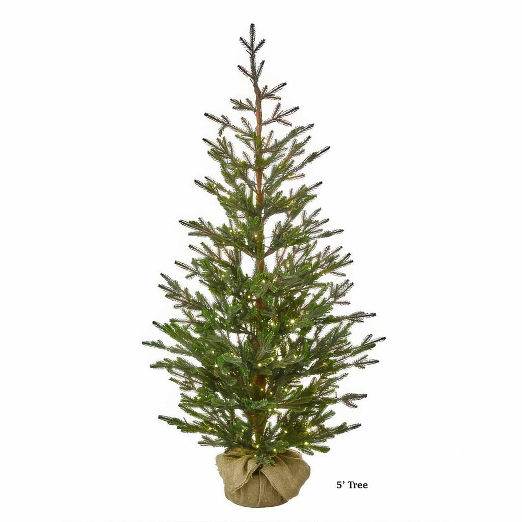 Sapling Spruce Tree Color Change Christmas Tree