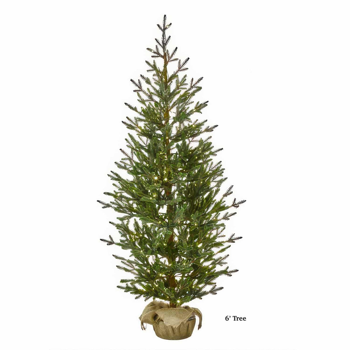 Sapling Spruce Tree Color Change Christmas Tree