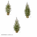 Sapling Spruce Tree Color Change Christmas Tree