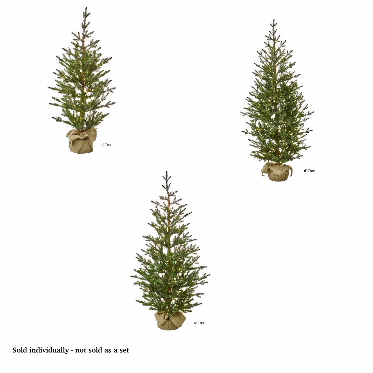 Sapling Spruce Tree Color Change Christmas Tree