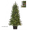 Stonehill Potted Spruce Tree Unlit Or Color Change