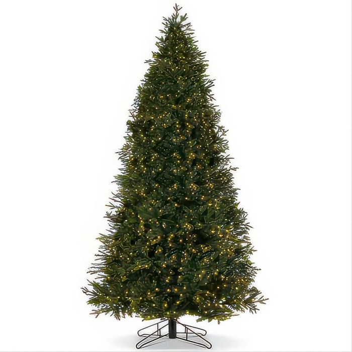 Carolina Fraser Fir Twinkle Christmas Tree